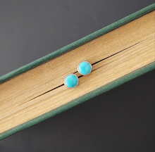 Load image into Gallery viewer, Bluebird Post Earrings