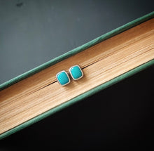 Load image into Gallery viewer, Bluebird Post Earrings