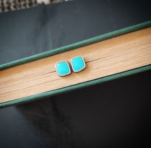Load image into Gallery viewer, Bluebird Post Earrings