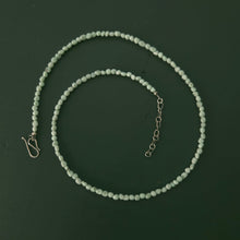 Load image into Gallery viewer, Paloma Variscite Necklace
