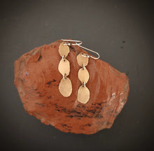 Load image into Gallery viewer, Golden Earrings