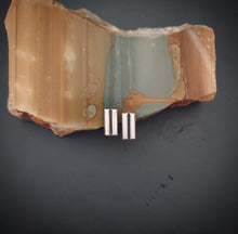 Load image into Gallery viewer, Double Bar Post Earrings