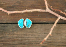 Load image into Gallery viewer, Twilight Earrings