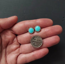 Load image into Gallery viewer, Bluebird Post Earrings