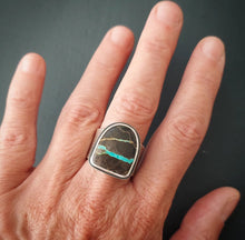 Load image into Gallery viewer, Return Ring
