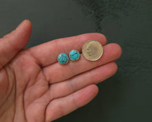 Load image into Gallery viewer, Bluebird Post Earrings