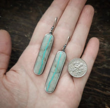 Load image into Gallery viewer, Rivulet Earrings
