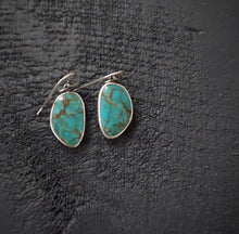 Load image into Gallery viewer, Be Like Water Earrings