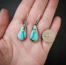 Load image into Gallery viewer, Bluebird Earrings