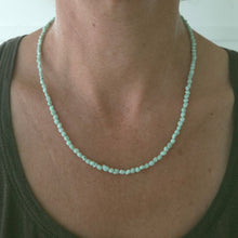 Load image into Gallery viewer, Paloma Variscite Necklace