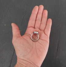 Load image into Gallery viewer, Biggs Jasper Story Ring