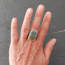 Load image into Gallery viewer, Owyhee Jasper Story Ring
