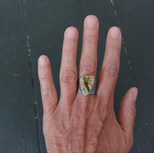 Load image into Gallery viewer, Earth Energy Ring