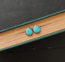 Load image into Gallery viewer, Dewdrop Post Earrings