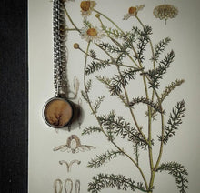 Load image into Gallery viewer, Botanical Necklace no.2