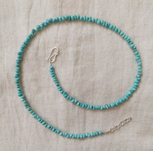 Load image into Gallery viewer, Turquoise Beaded Necklace 17 1/4"-18 1/4"
