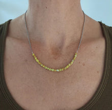 Load image into Gallery viewer, Palomino Beads + Chain Necklace
