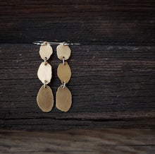 Load image into Gallery viewer, Sowing Seeds Earrings
