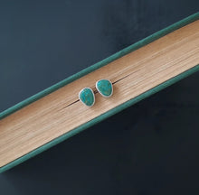 Load image into Gallery viewer, Bluebird Post Earrings
