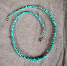 Load image into Gallery viewer, Turquoise Beaded Necklace
