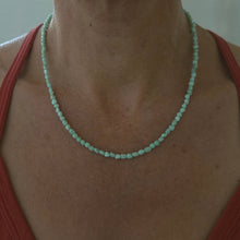 Load image into Gallery viewer, Paloma Variscite Necklace
