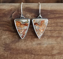 Load image into Gallery viewer, Crazy Lace Agate Earrings

