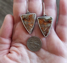 Load image into Gallery viewer, Crazy Lace Agate Earrings

