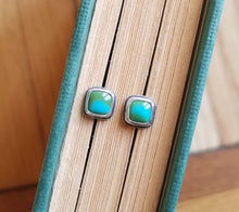 Load image into Gallery viewer, Sonoran Gold Turquoise Studs no.4
