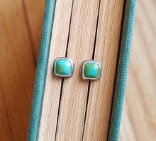 Load image into Gallery viewer, Sonoran Gold Turquoise Studs no.3
