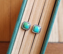 Load image into Gallery viewer, Sonoran Gold Turquoise Studs no.2

