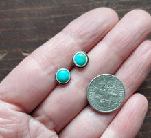 Load image into Gallery viewer, Sonoran Gold Turquoise Studs no.1
