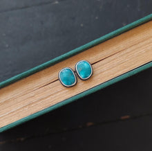 Load image into Gallery viewer, Deep Waters Post Earrings
