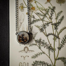 Load image into Gallery viewer, Botanical Necklace no.1

