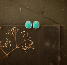 Load image into Gallery viewer, Bluebird Post Earrings
