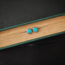 Load image into Gallery viewer, Bluebird Post Earrings
