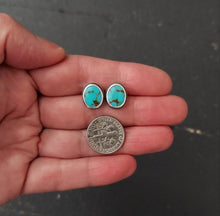 Load image into Gallery viewer, Bluebird Post Earrings
