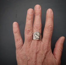 Load image into Gallery viewer, Wild Comfort Ring size 7.5
